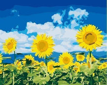 Laden Sie das Bild in den Galerie-Viewer, Malen nach Zahlen für Erwachsene | Sonnenblumen und blauer Himmel | Figured'Art