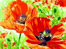 Laden Sie das Bild in den Galerie-Viewer, Malen nach Zahlen für Erwachsene | Blühtende Mohnblumen | Figured'Art