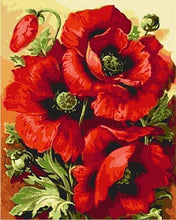 Laden Sie das Bild in den Galerie-Viewer, Malen nach Zahlen Erwachsene Mohnblumen Figured'Art