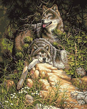 Laden Sie das Bild in den Galerie-Viewer, Malen nach Zahlen für Erwachsene | Wolfspärchen 3 | Figured'Art