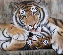 Laden Sie das Bild in den Galerie-Viewer, Malen nach Zahlen für Erwachsene | Zwei Tigerköpfe | Figured'Art