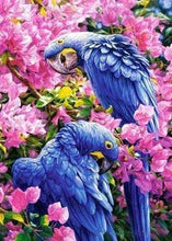 Laden Sie das Bild in den Galerie-Viewer, Diamond Painting, Blaue Papageien