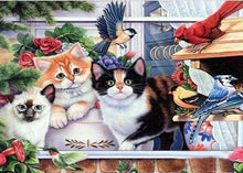 Laden Sie das Bild in den Galerie-Viewer, Diamond Painting, Katzen und Vögel