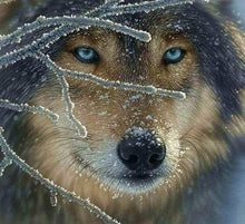Laden Sie das Bild in den Galerie-Viewer, Diamond Painting, Gesicht des Wolfs