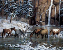 Laden Sie das Bild in den Galerie-Viewer, Diamond Painting, Pferde im Fluss
