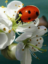 Laden Sie das Bild in den Galerie-Viewer, Diamond Painting, Marienkäfer und Blumen