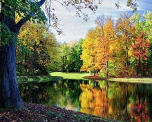 Laden Sie das Bild in den Galerie-Viewer, Diamond Painting, Sicht auf den Teich
