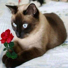 Laden Sie das Bild in den Galerie-Viewer, Diamond Painting, Romantische Katze