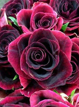 Laden Sie das Bild in den Galerie-Viewer, Diamond Painting, Rose