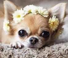 Laden Sie das Bild in den Galerie-Viewer, Diamond Painting, Kleiner Hund und Blumen