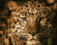 Laden Sie das Bild in den Galerie-Viewer, Malen nach Zahlen für Erwachsene | Gepard | Figured'Art