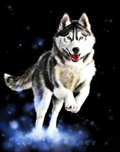 Laden Sie das Bild in den Galerie-Viewer, Malen nach Zahlen für Erwachsene | Husky | Figured'Art