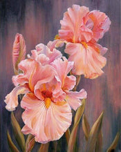 Laden Sie das Bild in den Galerie-Viewer, Malen nach Zahlen für Erwachsene | Iris Blumen | Figured'Art