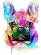 Laden Sie das Bild in den Galerie-Viewer, Malen nach Zahlen für Erwachsene | Schöner bunter Hund | Figured'Art