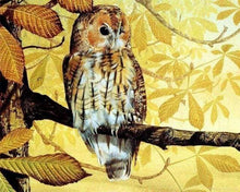 Laden Sie das Bild in den Galerie-Viewer, Malen nach Zahlen für Erwachsene | Hübsche Eule und goldene Landschaft | Figured'Art