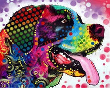 Laden Sie das Bild in den Galerie-Viewer, Malen nach Zahlen für Erwachsene | Labrador Pop Art | Figured'Art