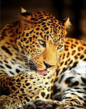 Laden Sie das Bild in den Galerie-Viewer, Malen nach Zahlen Erwachsene Leopard Figured'Art