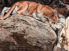 Laden Sie das Bild in den Galerie-Viewer, Malen nach Zahlen Erwachsene Luchs Figured'Art