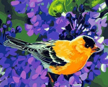 Laden Sie das Bild in den Galerie-Viewer, Malen nach Zahlen für Erwachsene | Oranger Vogel | Figured'Art