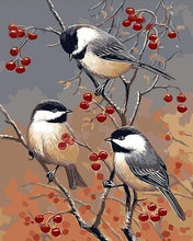 Laden Sie das Bild in den Galerie-Viewer, Malen nach Zahlen für Erwachsene | Vögel und Obstbaum | Figured'Art