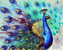 Laden Sie das Bild in den Galerie-Viewer, Malen nach Zahlen für Erwachsene | Bunter Pfau | Figured'Art