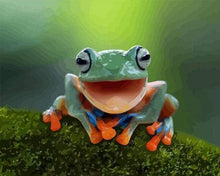 Laden Sie das Bild in den Galerie-Viewer, Malen nach Zahlen für Erwachsene | Kleiner Frosch | Figured'Art