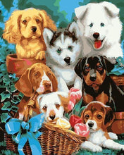 Laden Sie das Bild in den Galerie-Viewer, Malen nach Zahlen für Erwachsene | Kleine Hunde in einem Korb | Figured'Art