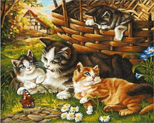 Laden Sie das Bild in den Galerie-Viewer, Malen nach Zahlen für Erwachsene | Vier Katzen und ein Schmetterling | Figured'Art