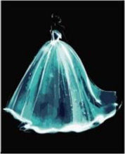 Laden Sie das Bild in den Galerie-Viewer, Malen nach Zahlen für Erwachsene | Kristallklares Brautkleid | Figured'Art