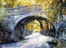 Laden Sie das Bild in den Galerie-Viewer, Malen nach Zahlen für Erwachsene | Unter der Brücke | Figured'Art