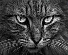 Laden Sie das Bild in den Galerie-Viewer, Malen nach Zahlen Erwachsene Katzenkopf Figured'Art