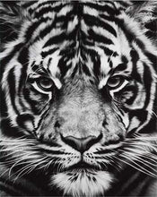Laden Sie das Bild in den Galerie-Viewer, Malen nach Zahlen für Erwachsene | Tigerkopf in schwarzweiß | Figured'Art