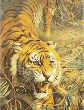 Laden Sie das Bild in den Galerie-Viewer, Malen nach Zahlen für Erwachsene | Wütender Tiger | Figured'Art