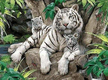 Laden Sie das Bild in den Galerie-Viewer, Malen nach Zahlen für Erwachsene | Weiße Tigerfamilie | Figured'Art