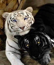 Laden Sie das Bild in den Galerie-Viewer, Malen nach Zahlen für Erwachsene | Tiger in schwarzweiß | Figured'Art