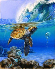 Laden Sie das Bild in den Galerie-Viewer, Malen nach Zahlen für Erwachsene | Wasserschildkröte | Figured'Art