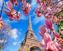 Laden Sie das Bild in den Galerie-Viewer, Malen nach Zahlen für Erwachsene | Eiffelturm und Magnolias | Figured'Art