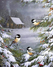Laden Sie das Bild in den Galerie-Viewer, Malen nach Zahlen für Erwachsene | Drei Vögel im Schnee | Figured'Art