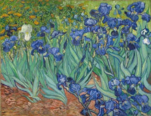 Laden Sie das Bild in den Galerie-Viewer, Malen nach Zahlen für Erwachsene | Van Gogh Iris | Figured'Art