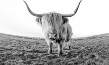 Laden Sie das Bild in den Galerie-Viewer, Malen nach Zahlen für Erwachsene | Yak in der Wüste | Figured'Art
