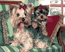 Laden Sie das Bild in den Galerie-Viewer, Malen nach Zahlen für Erwachsene | Yorkshire Terrier auf dem Sofa | Figured'Art